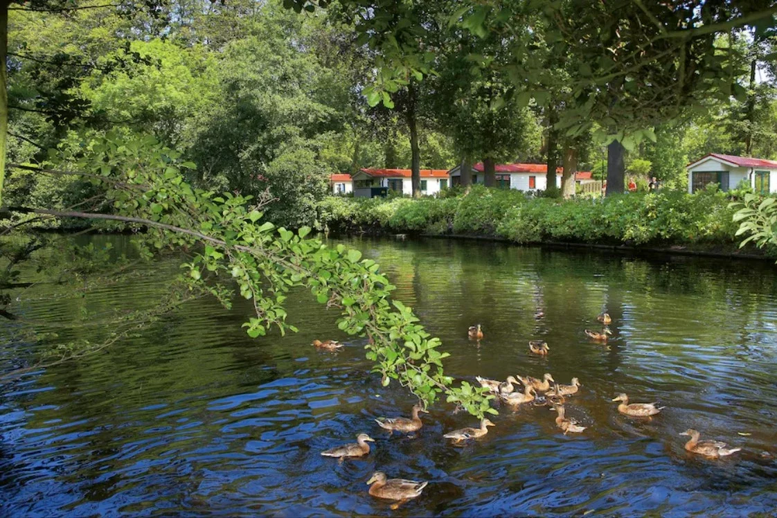 Duinrell Duingalows thumbnail 5