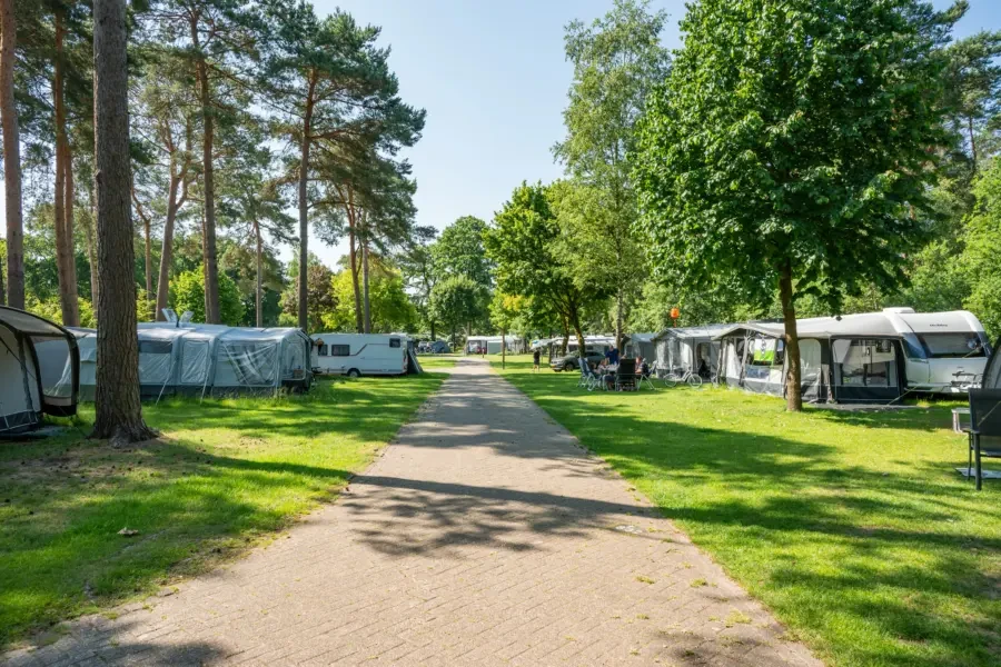 Ardoer Camping De Heldense Bossen