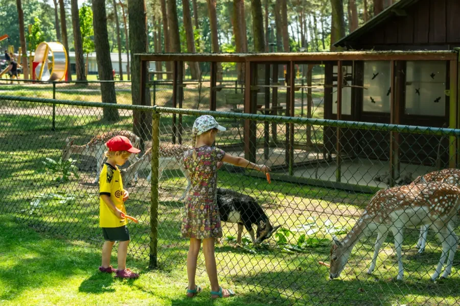 Ardoer Camping De Heldense Bossen – foto 4