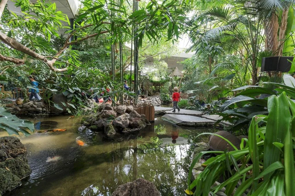 Center Parcs Het Meerdal thumbnail 5