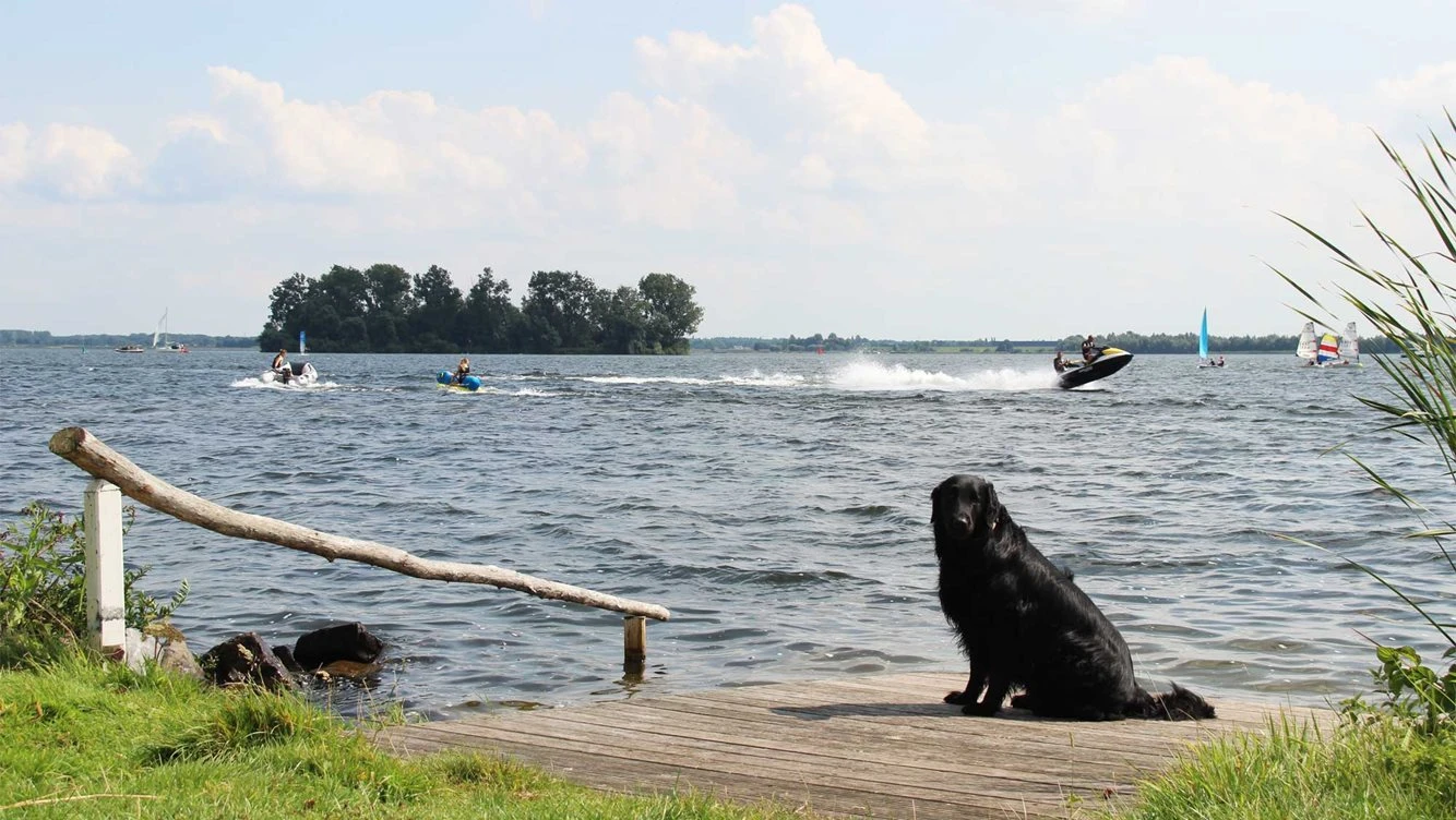 Molecaten Park Flevostrand – foto 5