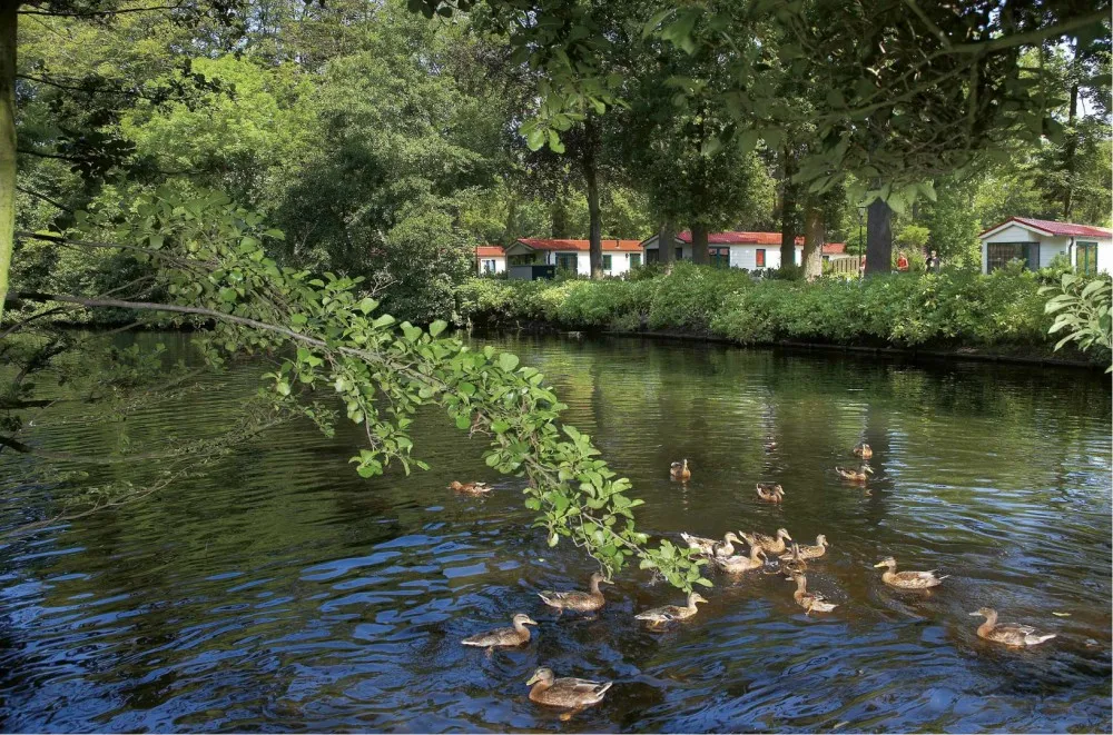 Vakantiepark Duinrell: Welke accommodatie past bij jou?